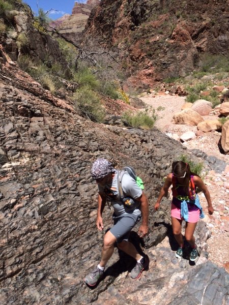 Working their way back up to Tonto Trail