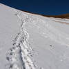 Late season snowfield below Hyalite Peak.