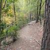 Section of the South Loop trail.