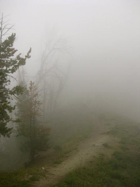 Misty trail