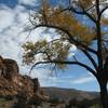 Red cliffs, blue sky and beautiful fall colors.