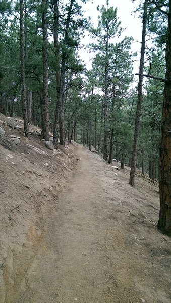 Smooth new trail contours the hillside of Sunshine Canyon