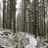 Snowy, spring Coffin Lakes Trail