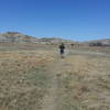 Running through Prairie Dog Town on the Buckhorn Trail