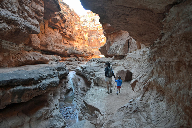 Deep in Cathedral Wash