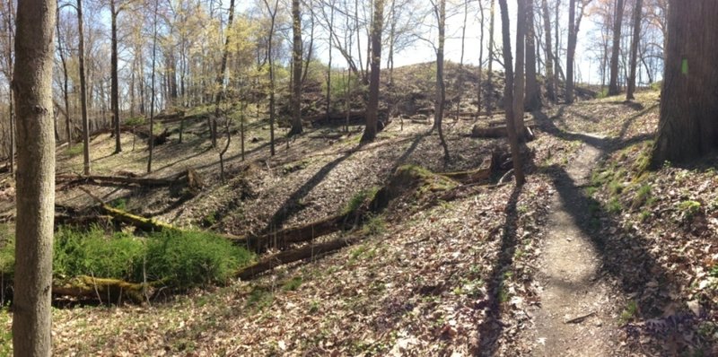 North Park Hiking Trails North Park Multi-Trail Circuit (Orange - Green - Red/Blue Blazes) Hiking  Trail, Allison Park, Pennsylvania