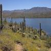Bartlett Lake in all its glory - from the Palo Verde Trail