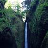 Oneonta Gorge at the falls.