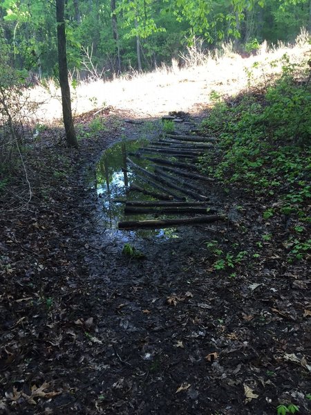 An attempt to at trail maintenance