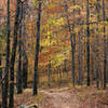 Walking Down The Yellow Rock Trail