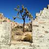 Joshua Tree National Park