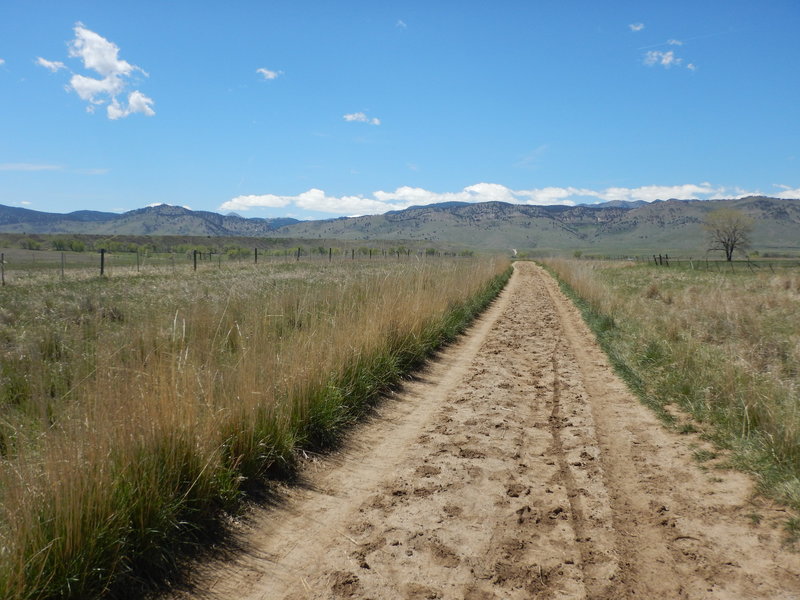 The wide, multi-use Eagle Trail between fields