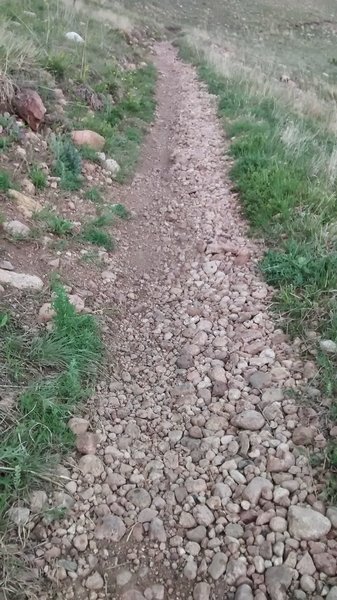 This is the section of Box 'o Rox Trail with loose rocks.