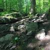 Small stream that runs down Certain Trail