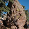 A boulder in Boulder used for bouldering