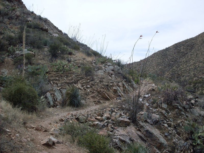 Loose sideslopes on the Sweetwater Trail