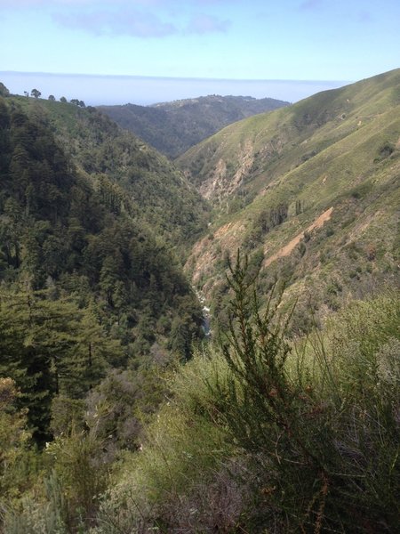 Looking towards the ocean, high above the Big Sur River