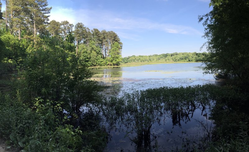 Wheeler Wildlife Refuge: Buckeye/Goose Pond Hiking Trail, Priceville ...