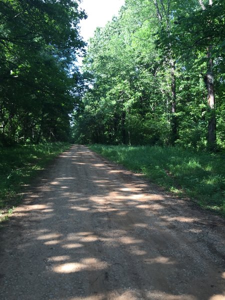 Doubletrack trail near Blackwell Swamp