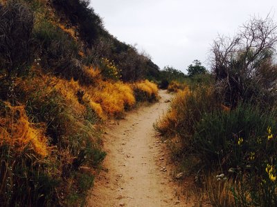 best trails for running near me