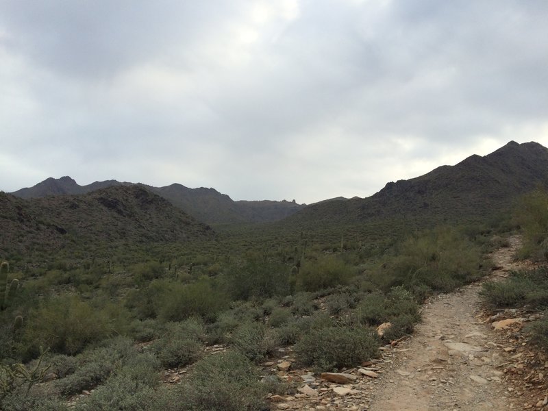 Tom S Thumb From Gateway Hiking Trail Fountain Hills Arizona