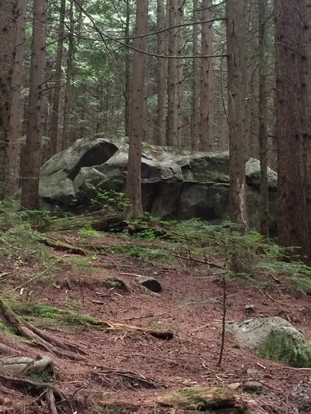 A giant boulder on the Brothers Creek Fire Trail