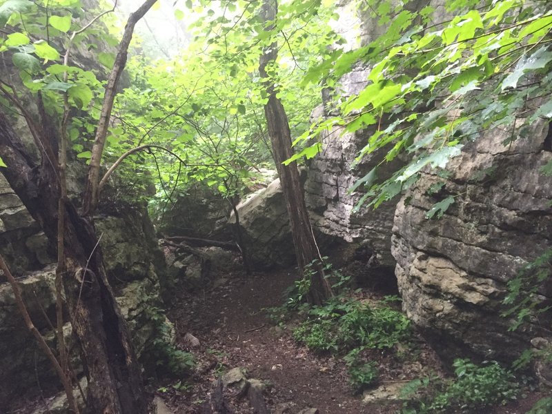 Stone cuts on the Arrowhead Trail
