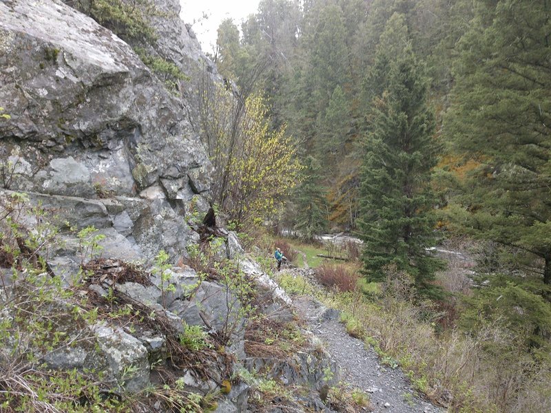 Start of the rocky section of the Crow Creek Falls Trail.