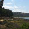 Near the main trailhead of Batiquitos Lagoon.