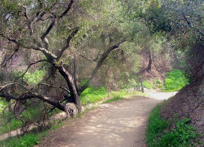 Schabarum Park Trail Map Schabarum Trail Running Trail, Rowland Heights, California