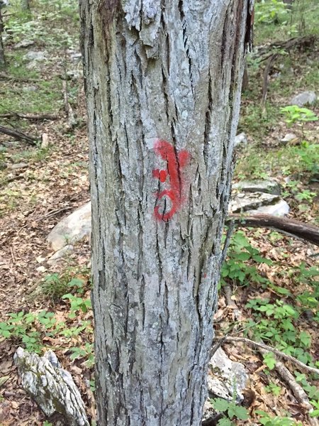 Cool spray painted Red Lizards that mark the trail