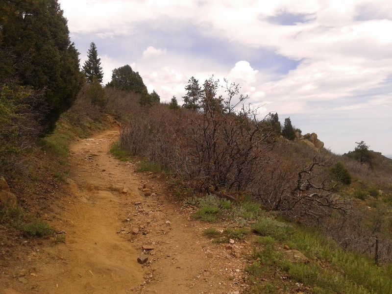 A bit of an incline on the trail.