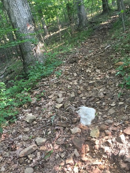 Loose Rock section to trail on Warpath Ridge