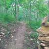 Singletrack on Red Trail