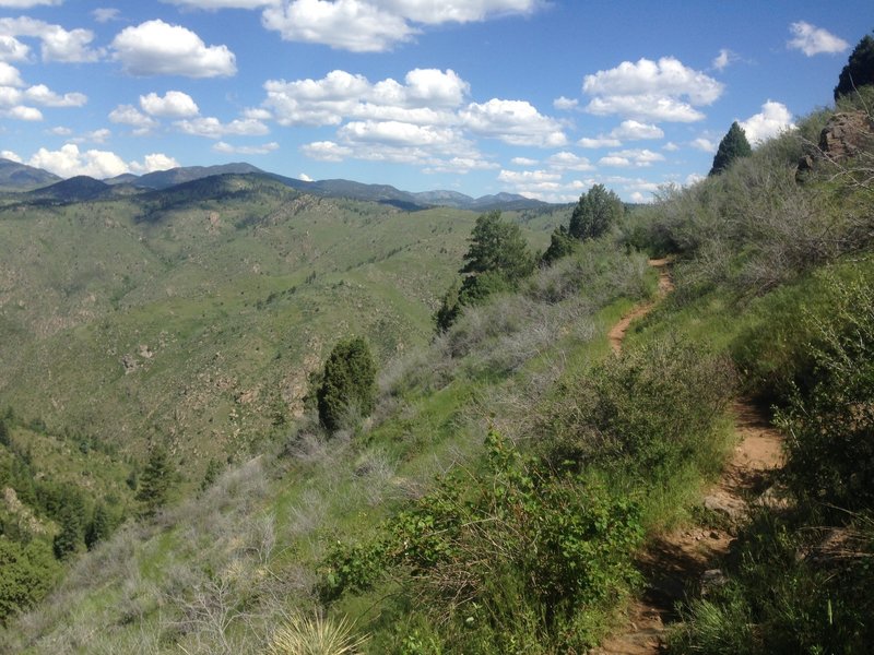 Beaver Brook Trail