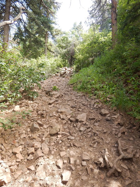 The rocky start to the Amphitheater Trail