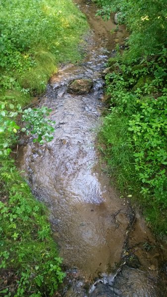 Looking down at Trout Brook from the foot bridge