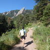 Great views of the Flatirons from this section of the Mesa Trail