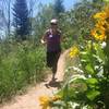 Descending Lupine in early summer with sunflowers in full bloom