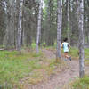 Running up into the second section Mosquito SingleTrack, really pretty forest in this area!
