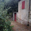 A rustic house among the olive trees