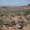 Navajo Mountain in the distance with painted desert