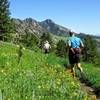 Trail runners enjoy the views of the valley below and abundant wildflowers in the Spring and Summer