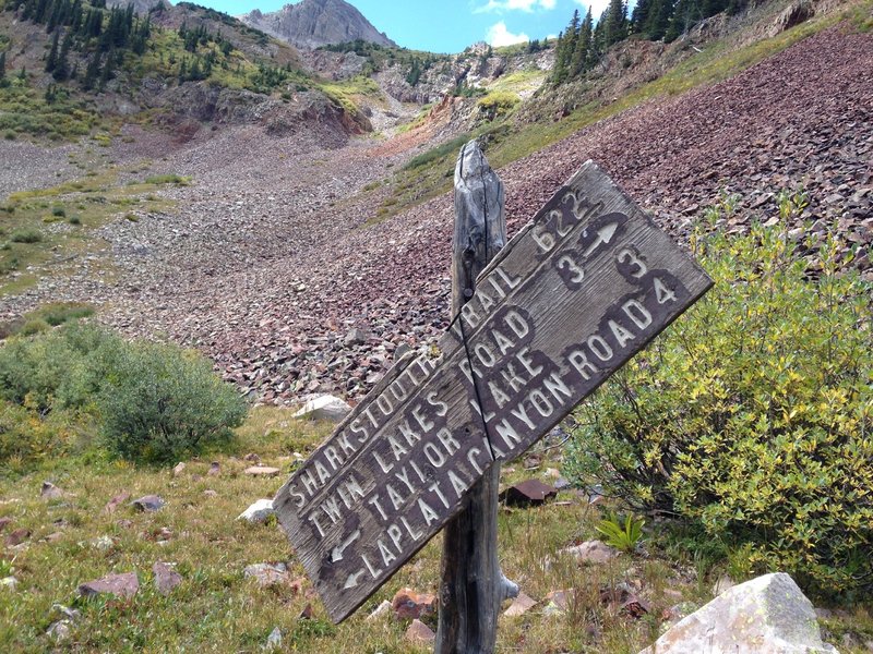 Junction of Sharkstooth Trail and Bear Creek Trail.