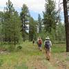 Blue sky, friends to hike with and a pretty pine forest. Gotta love Colorado!