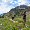 Wildflowers popping on Cirque Trail with Rendezvous Mountain summit in the background. Photo by Patrick Nelson / Jackson Hole Mountain Resort