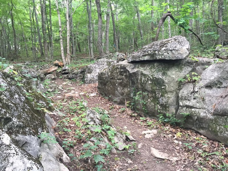 Small rock walls on Through Springs.