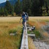 Yellowstone, Bechler River Trail