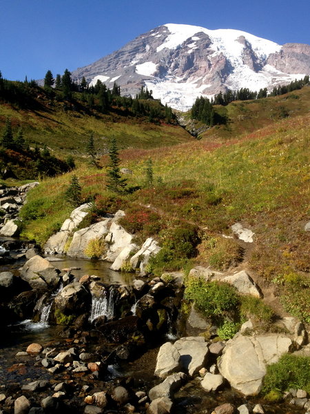 Mount Rainier and Edith Creek