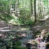 Switch back at a creek